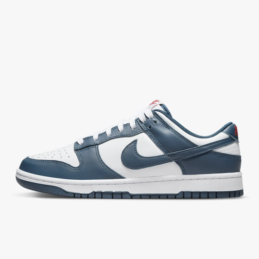 Nike Dunk Low "USA"